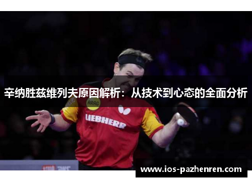 辛纳胜兹维列夫原因解析：从技术到心态的全面分析