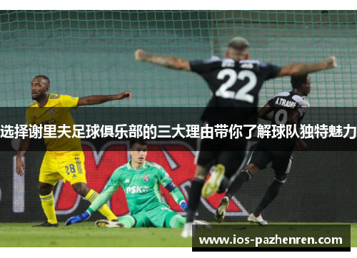 选择谢里夫足球俱乐部的三大理由带你了解球队独特魅力