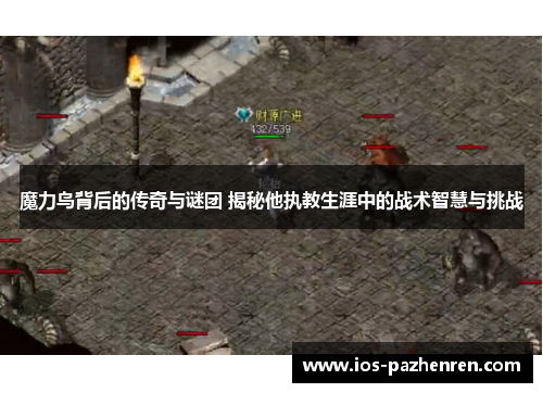 魔力鸟背后的传奇与谜团 揭秘他执教生涯中的战术智慧与挑战