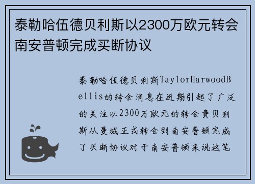 泰勒哈伍德贝利斯以2300万欧元转会南安普顿完成买断协议